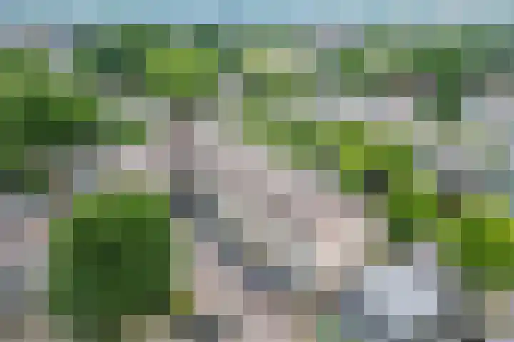 Loolaan 8 H Apeldoorn thumbnail 35
