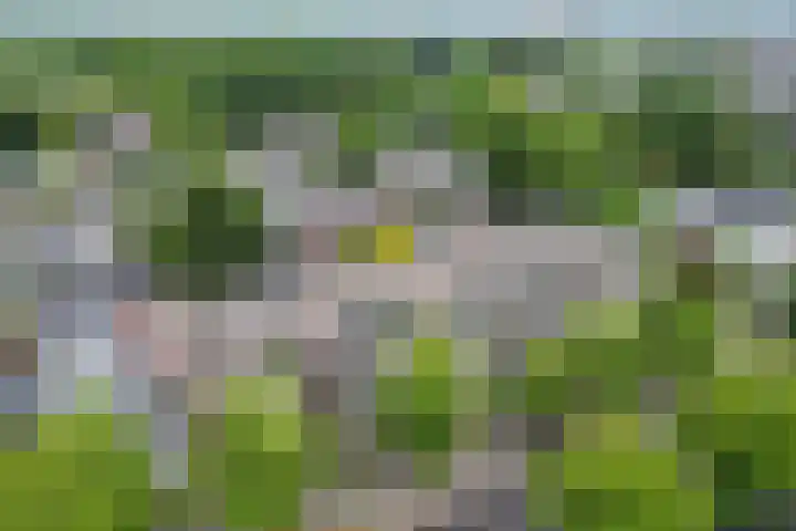 Loolaan 8 H Apeldoorn thumbnail 37