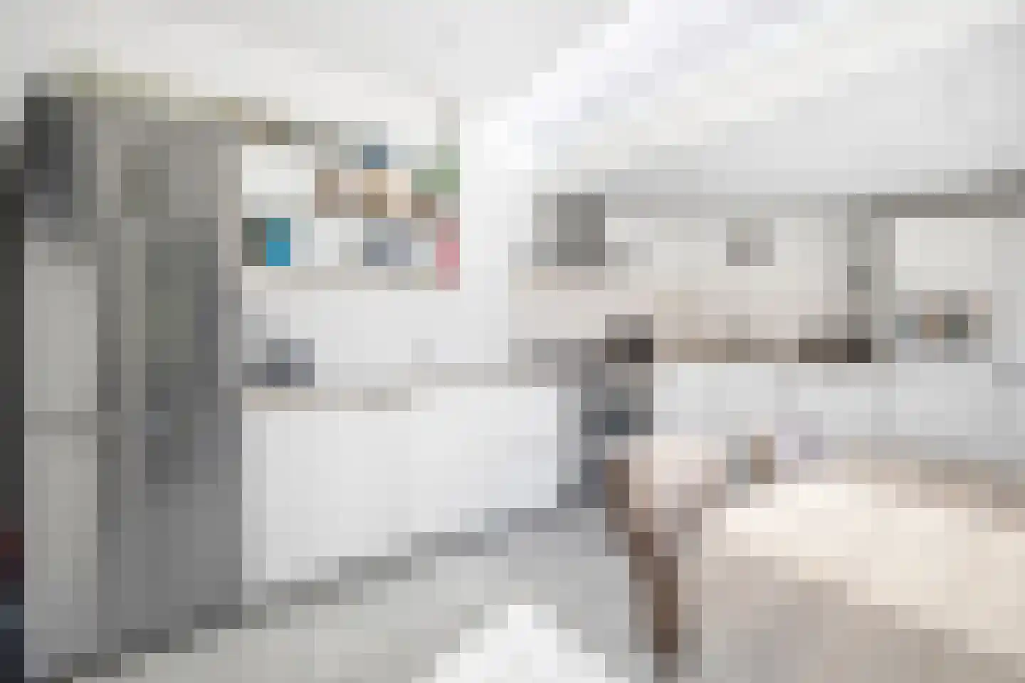 Loolaan 96 Voorburg thumbnail 10
