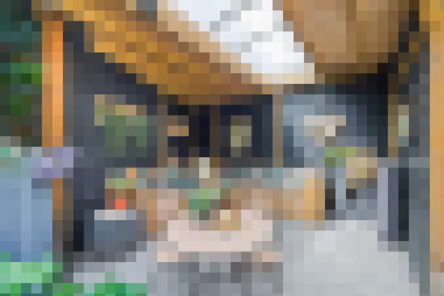 Loolaan 96 Voorburg thumbnail 14