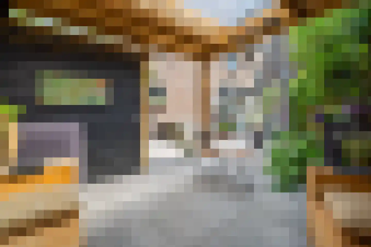 Loolaan 96 Voorburg thumbnail 15
