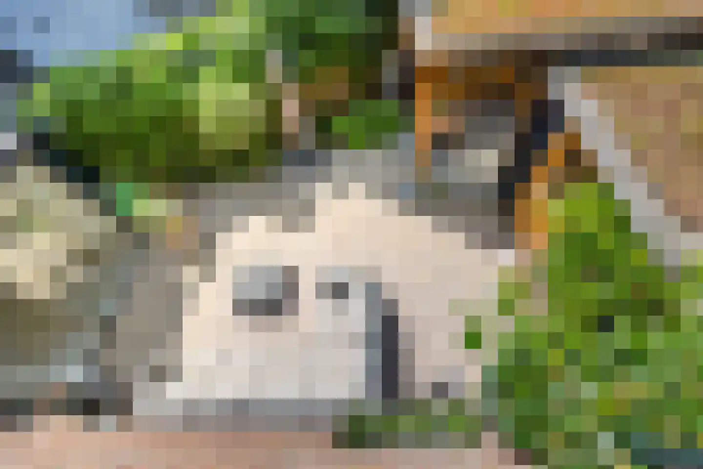 Loolaan 96 Voorburg thumbnail 18