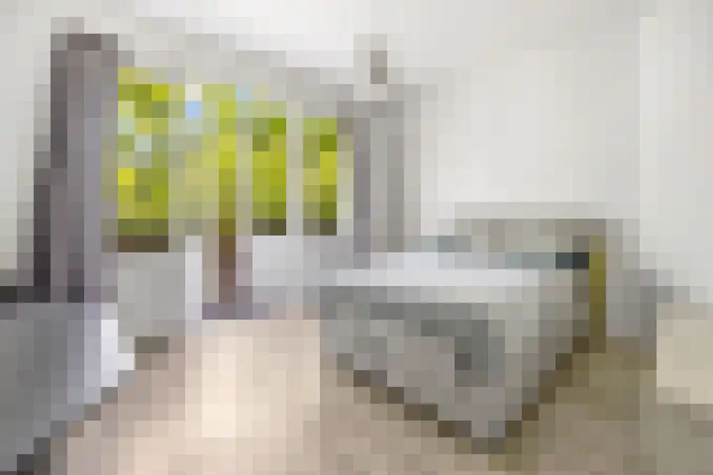 Loolaan 96 Voorburg thumbnail 26