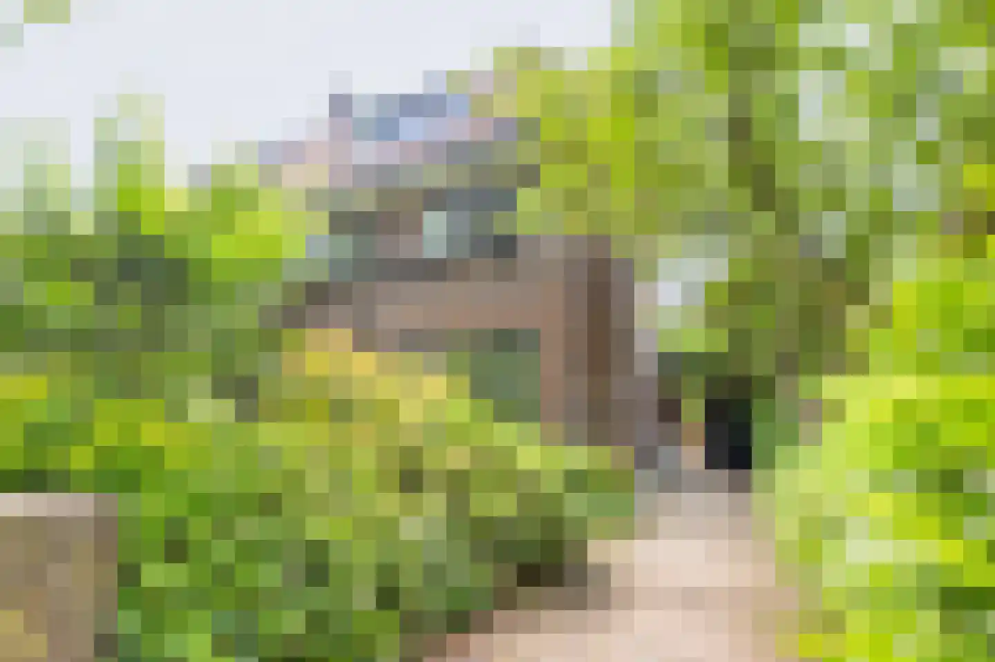 Loolaan 96 Voorburg thumbnail 4