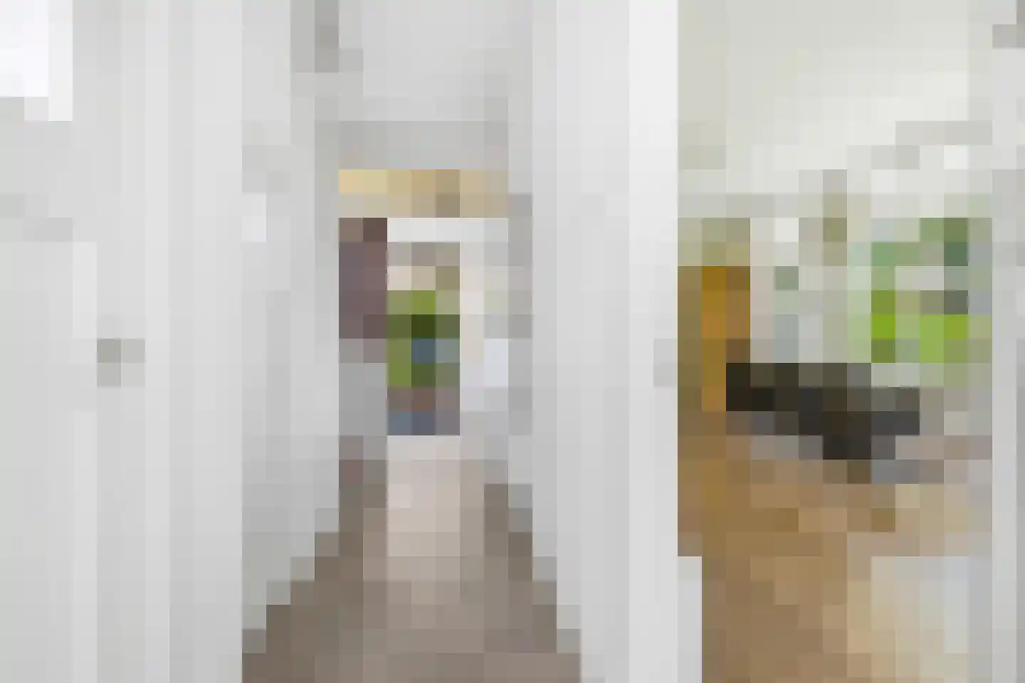 Loolaan 96 Voorburg thumbnail 6