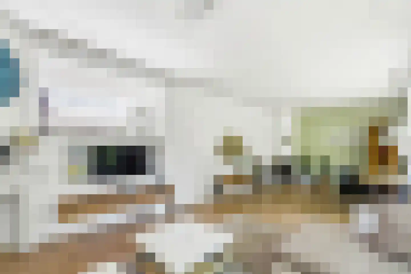 Loolaan 96 Voorburg thumbnail 9