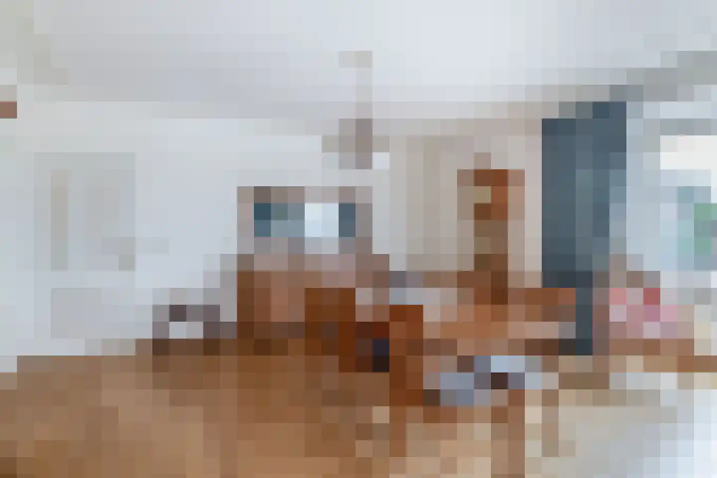 Loon 44 Liessel thumbnail 13