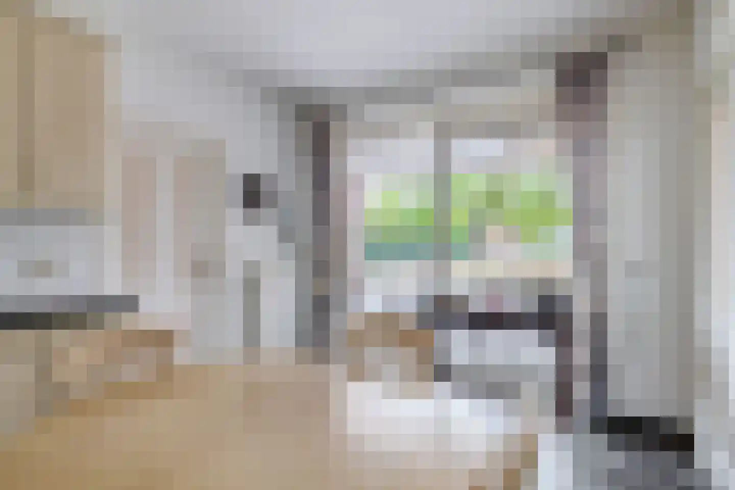 Loon 44 Liessel thumbnail 17