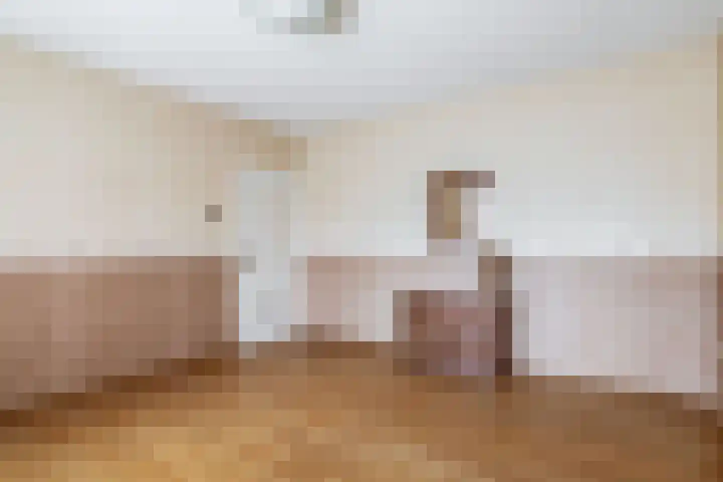 Loon 44 Liessel thumbnail 27