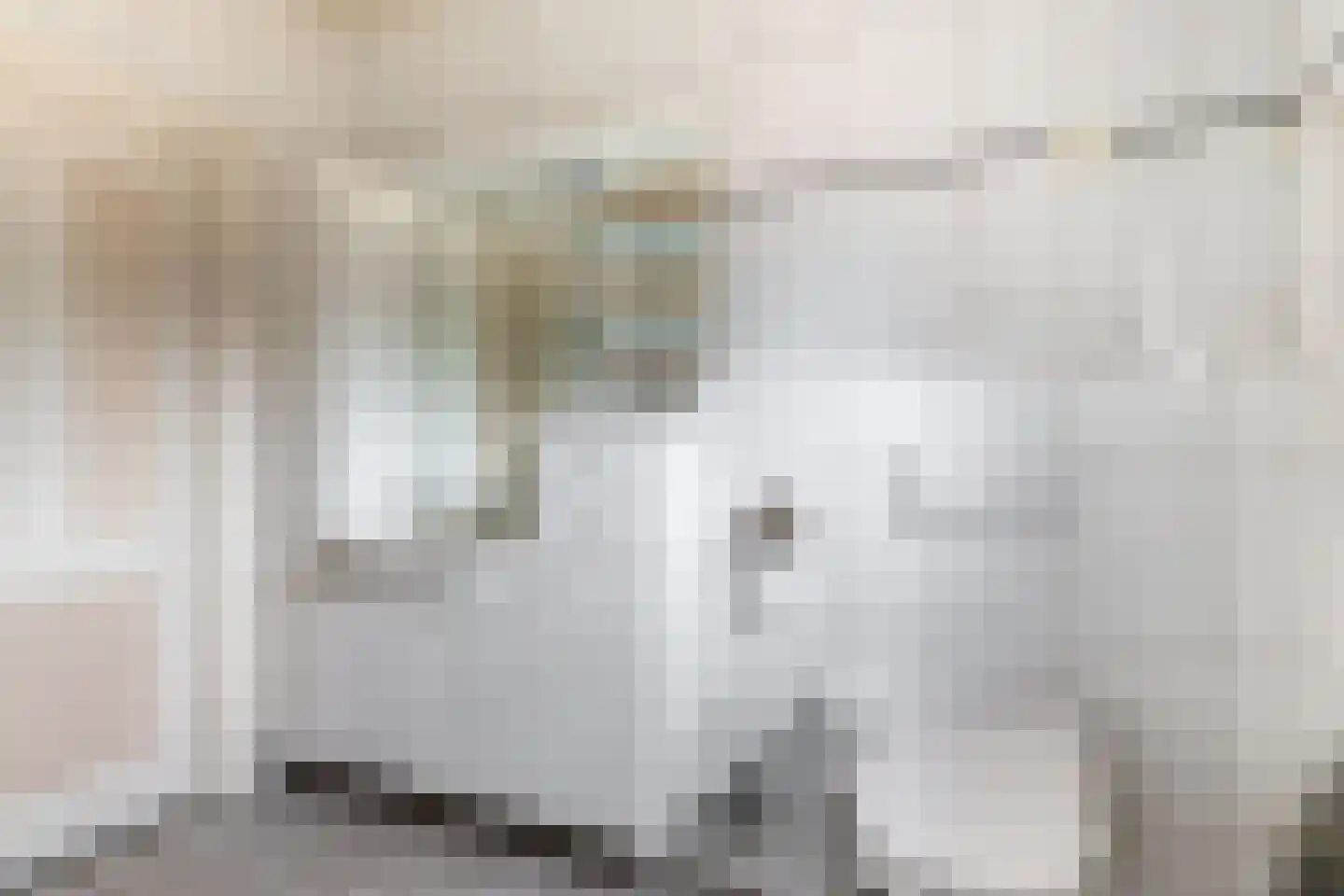 Loon 44 Liessel thumbnail 29