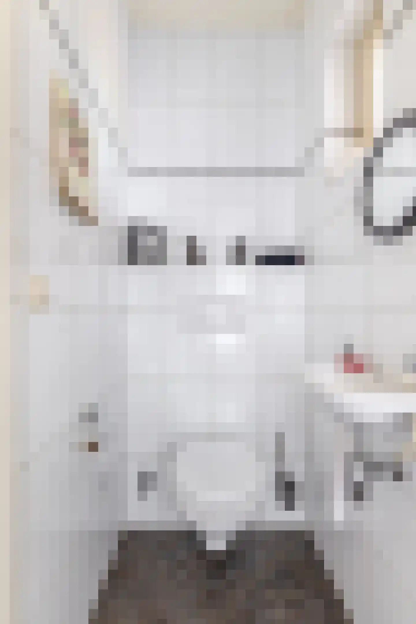 Loon 44 Liessel thumbnail 33