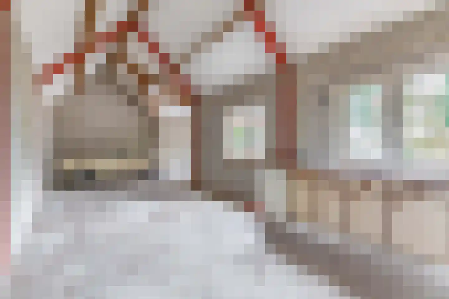 Loon 44 Liessel thumbnail 43