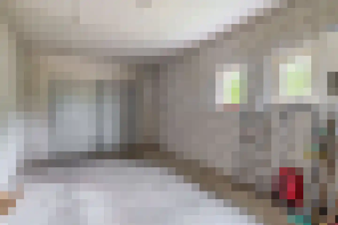 Loon 44 Liessel thumbnail 47