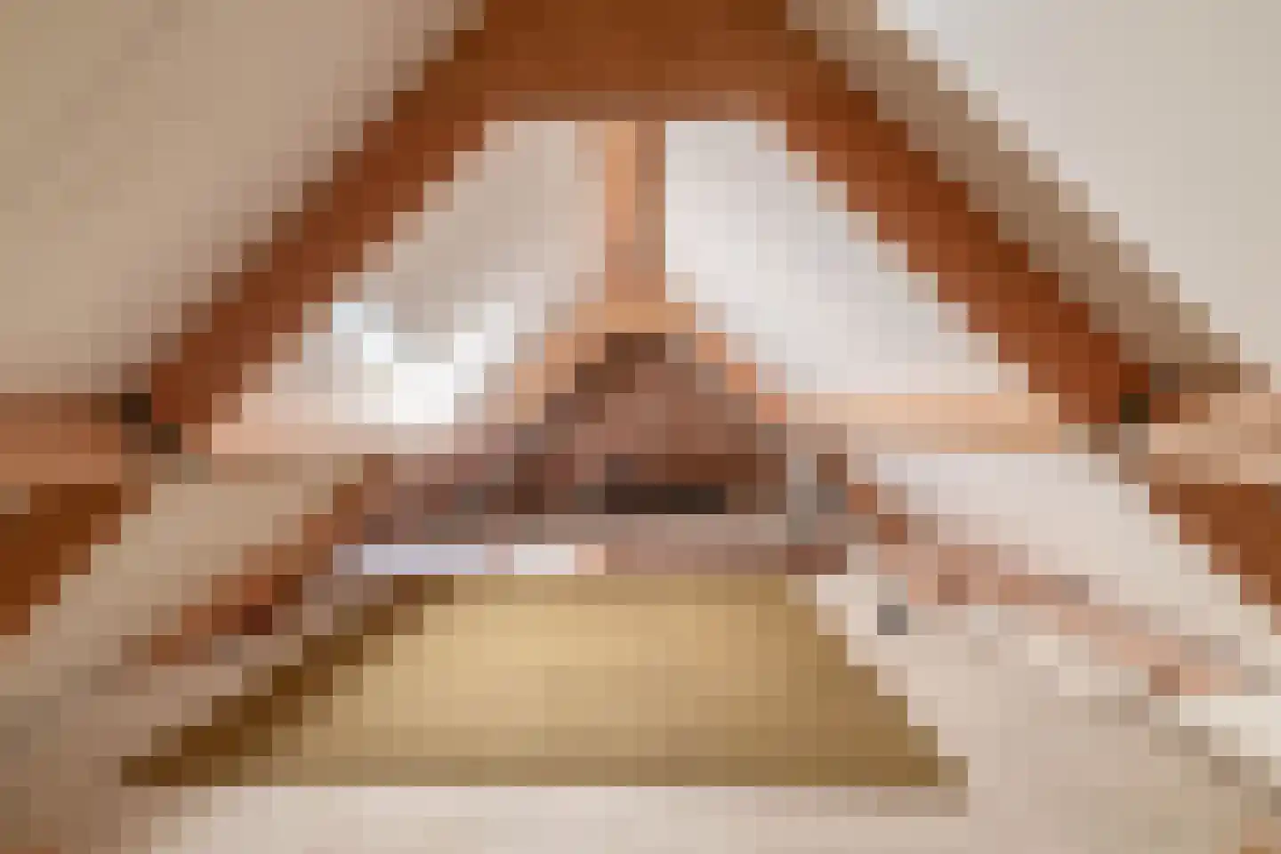 Loon 44 Liessel thumbnail 50
