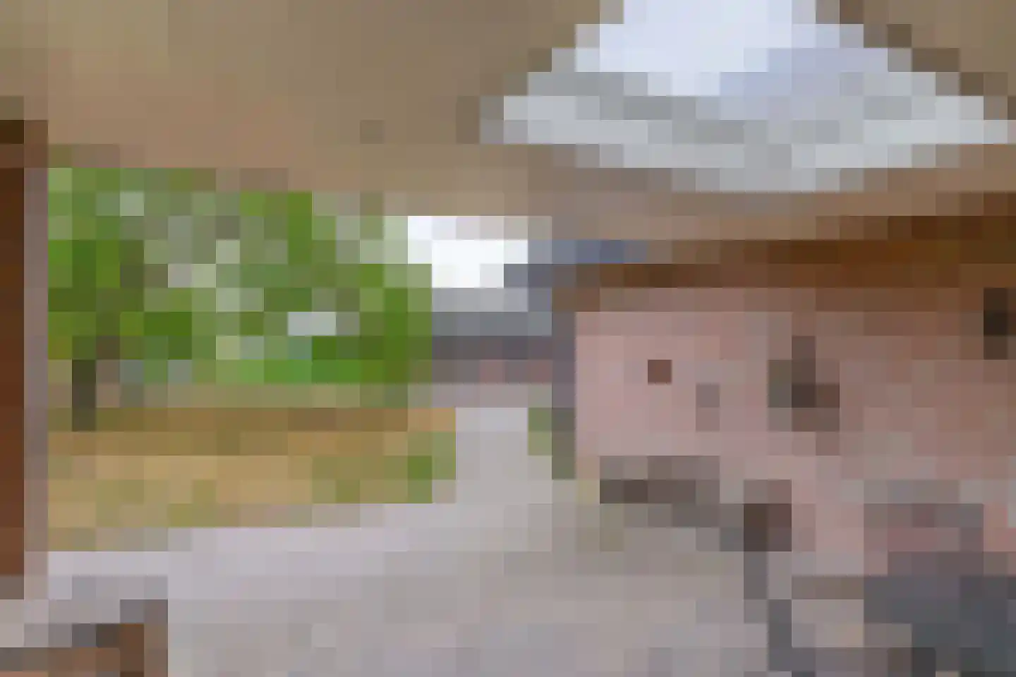 Loon 44 Liessel thumbnail 51