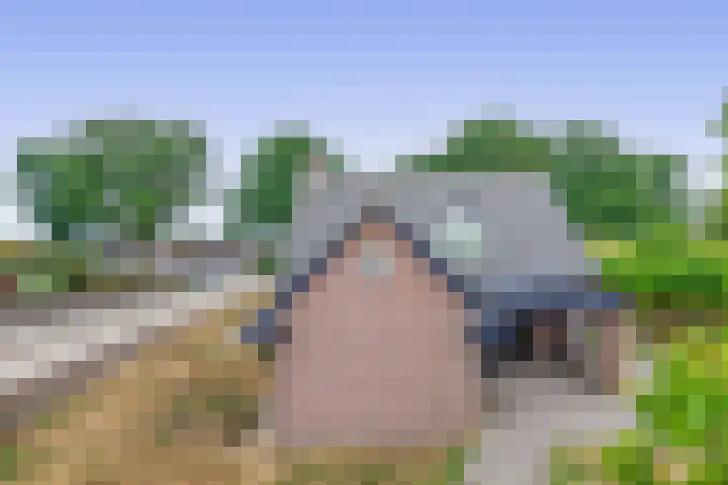 Loon 44 Liessel thumbnail 52