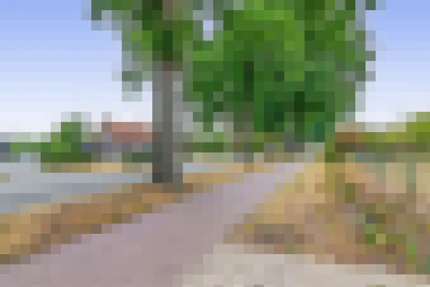 Loon 44 Liessel thumbnail 63