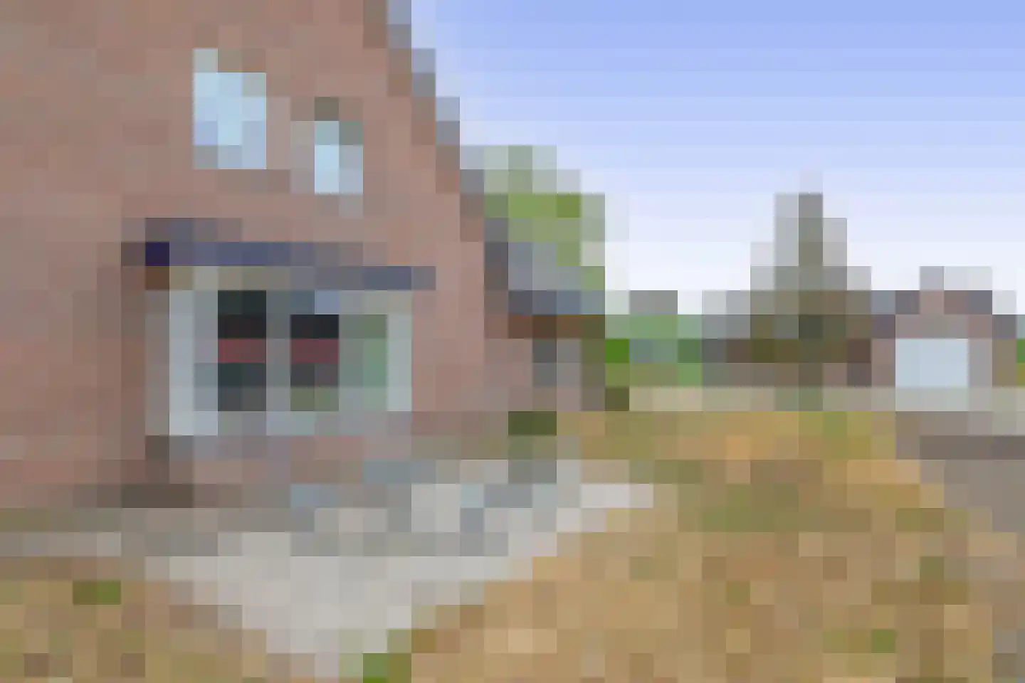 Loon 44 Liessel thumbnail 64