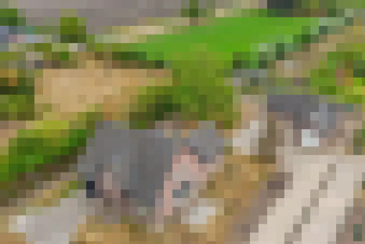 Loon 44 Liessel thumbnail 68