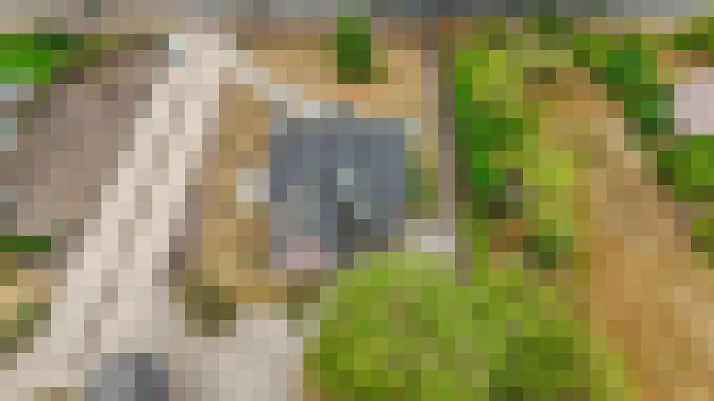 Loon 44 Liessel thumbnail 69