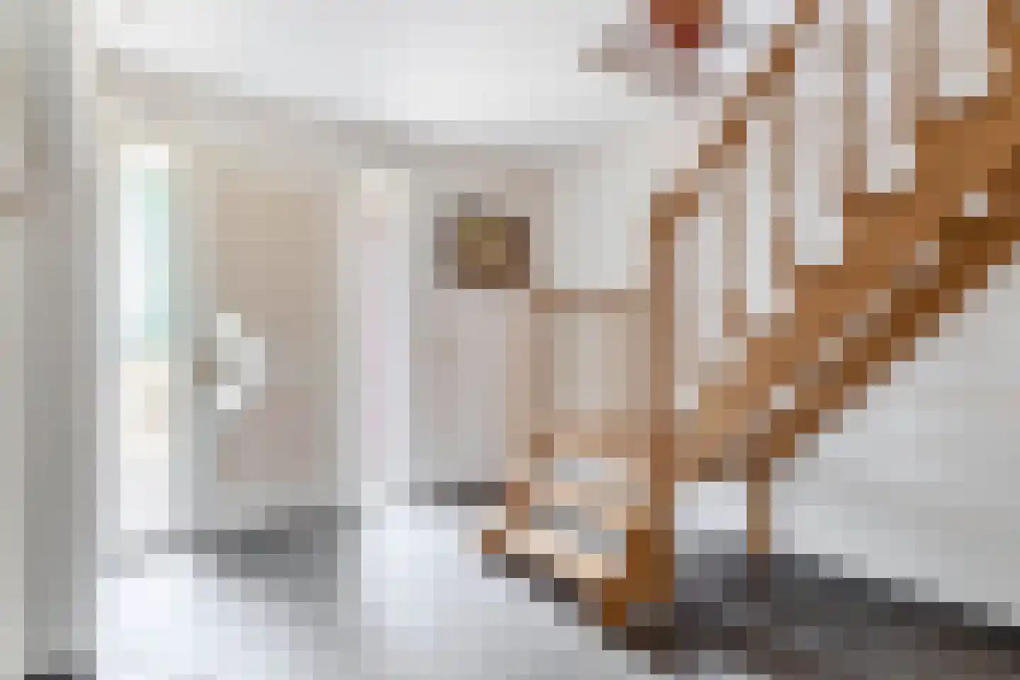 Loon 44 Liessel thumbnail 7
