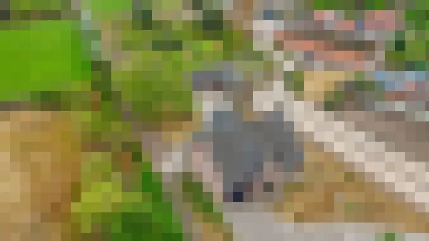 Loon 44 Liessel thumbnail 70