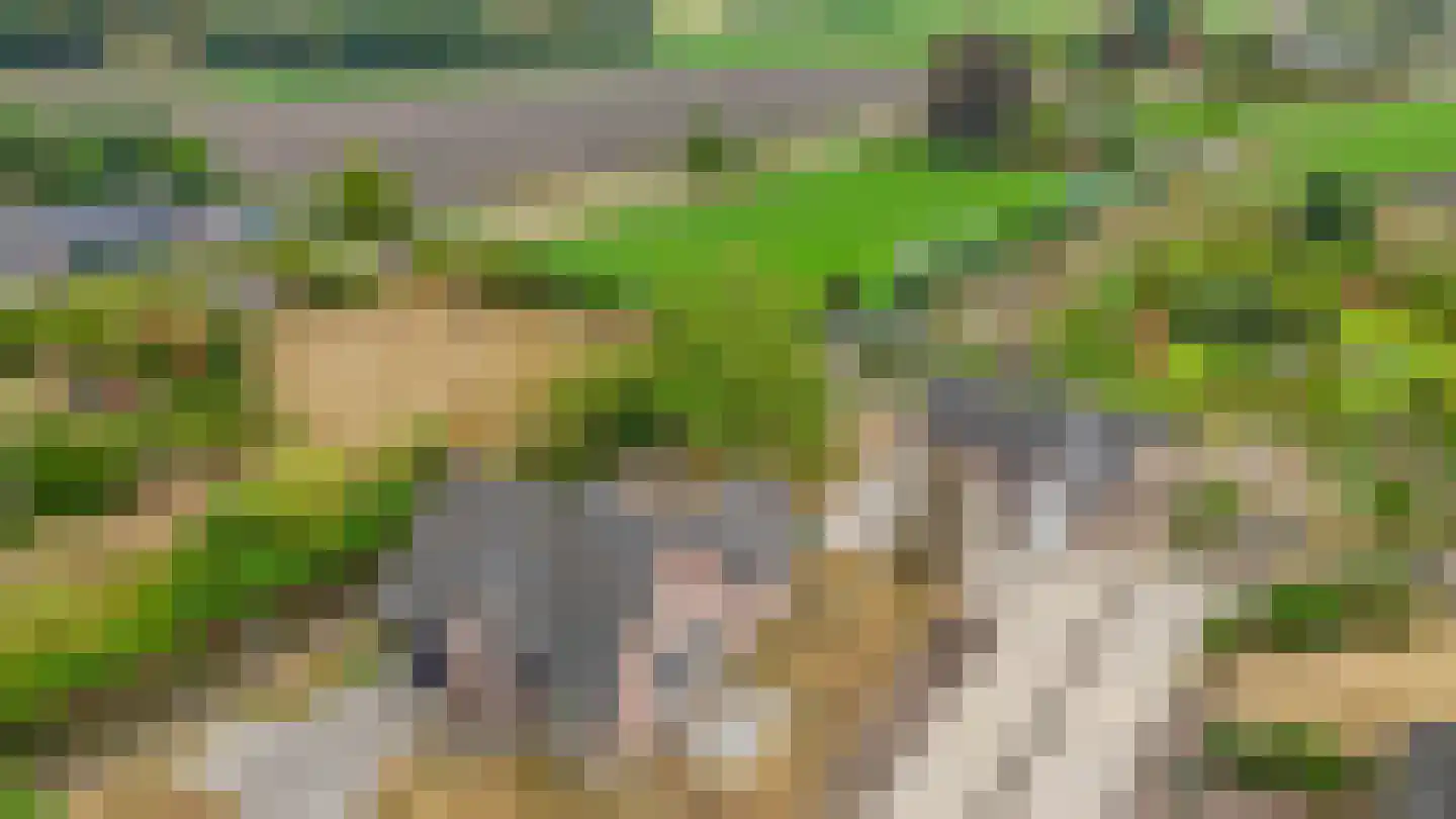 Loon 44 Liessel thumbnail 72