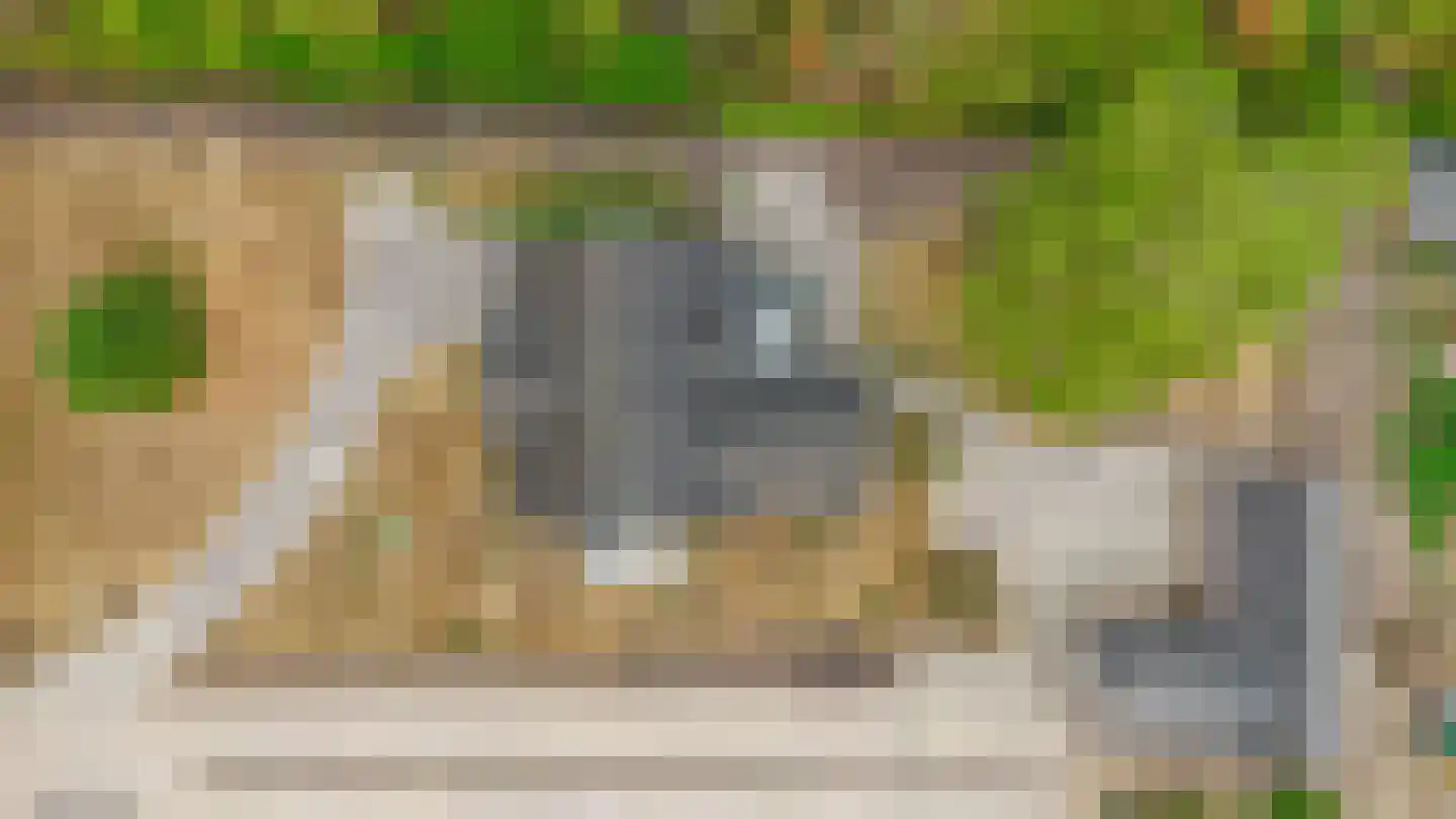 Loon 44 Liessel thumbnail 73