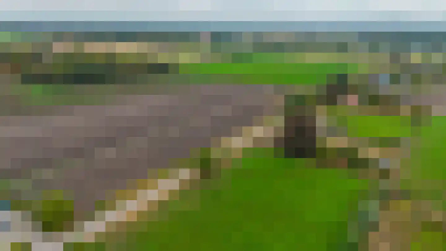 Loon 44 Liessel thumbnail 74