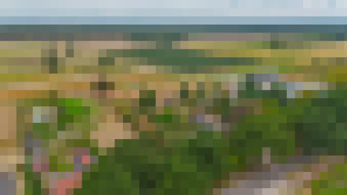 Loon 44 Liessel thumbnail 76