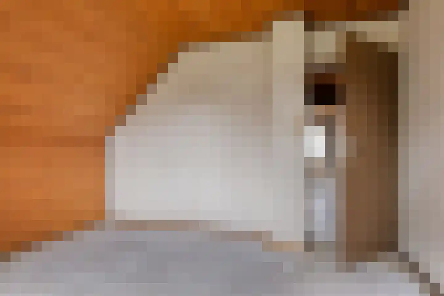 Loon 49 Liessel thumbnail 20