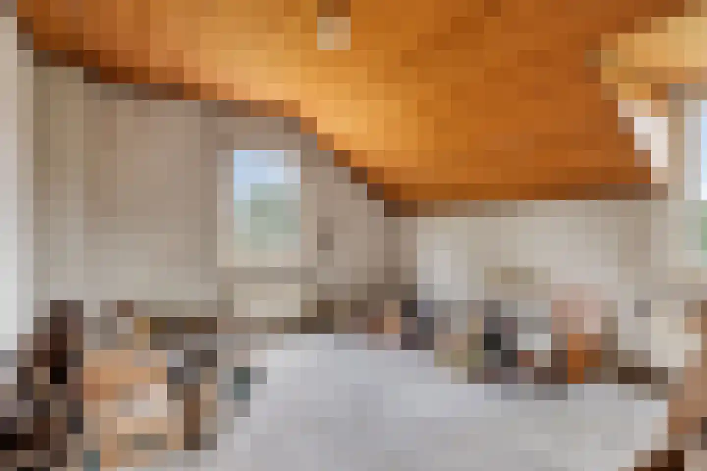 Loon 49 Liessel thumbnail 25