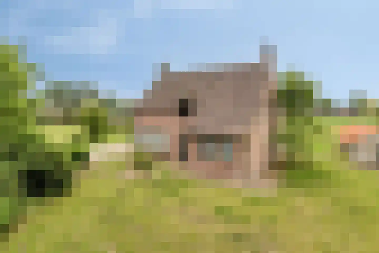 Loon 49 Liessel thumbnail 28