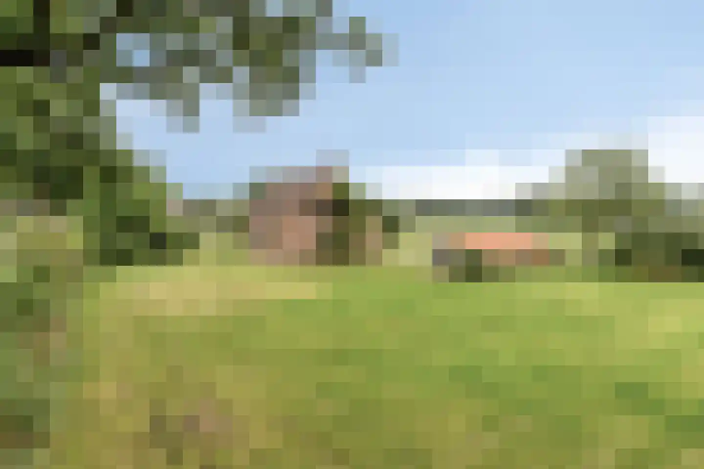 Loon 49 Liessel thumbnail 29