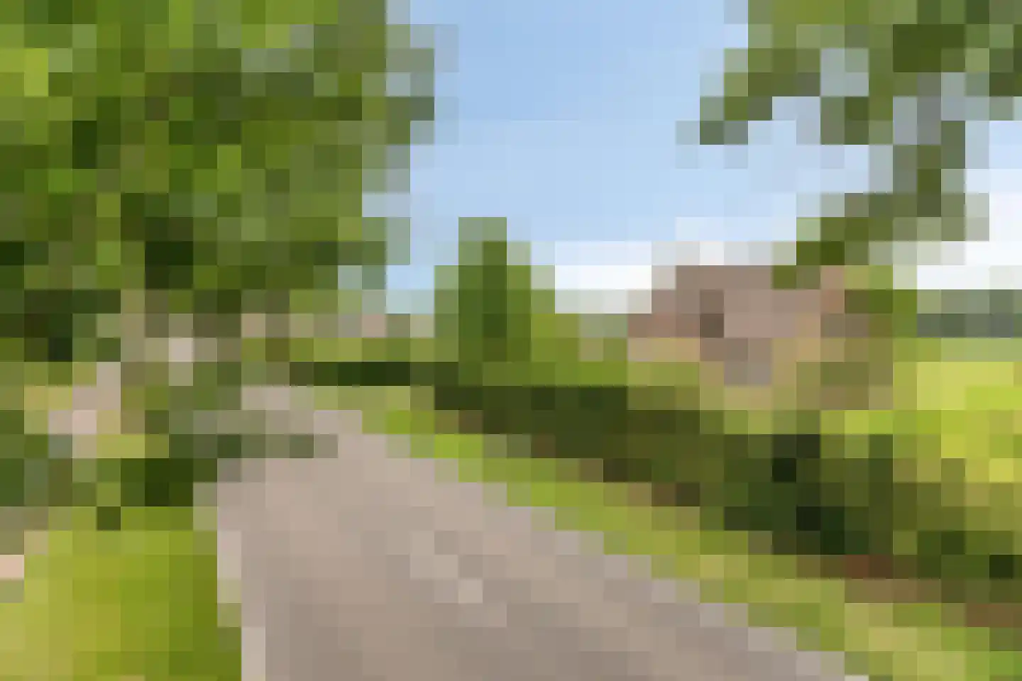 Loon 49 Liessel thumbnail 30