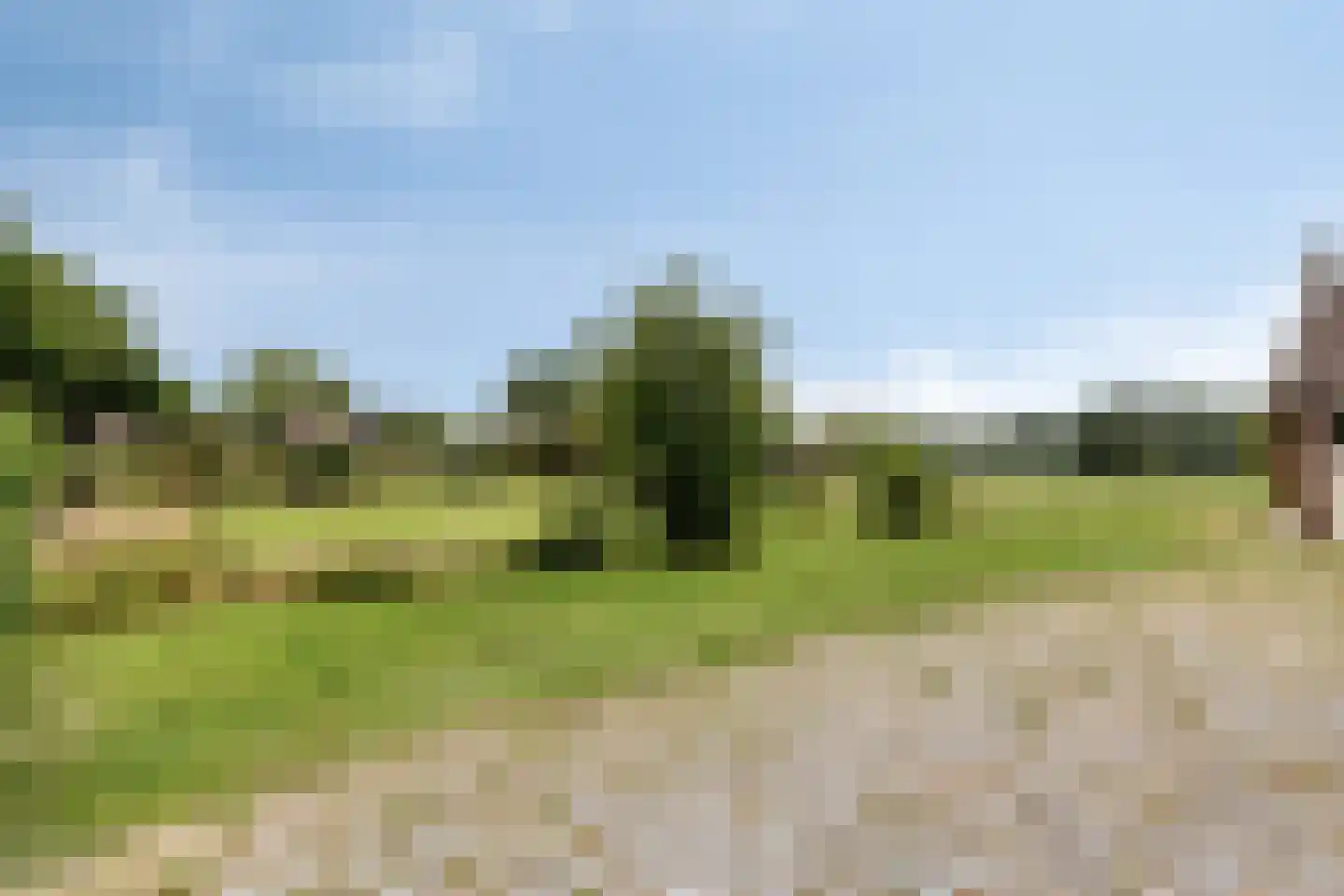 Loon 49 Liessel thumbnail 33