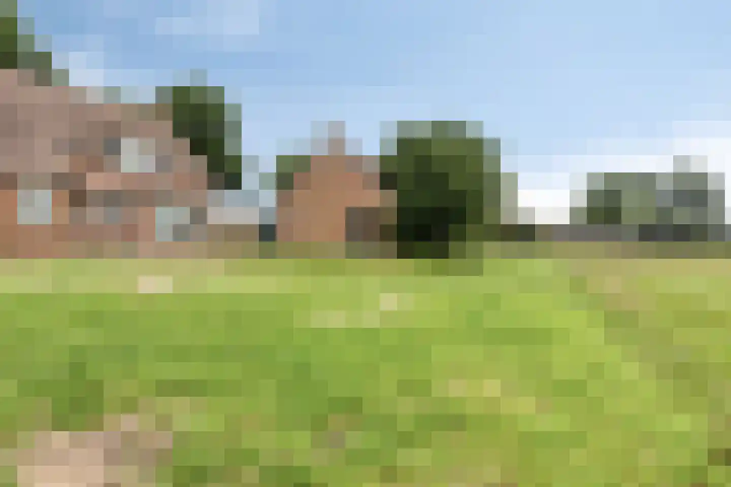 Loon 49 Liessel thumbnail 35