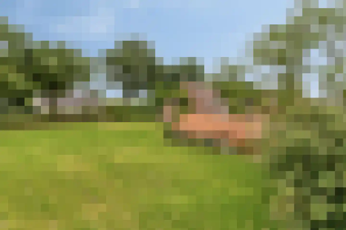 Loon 49 Liessel thumbnail 39