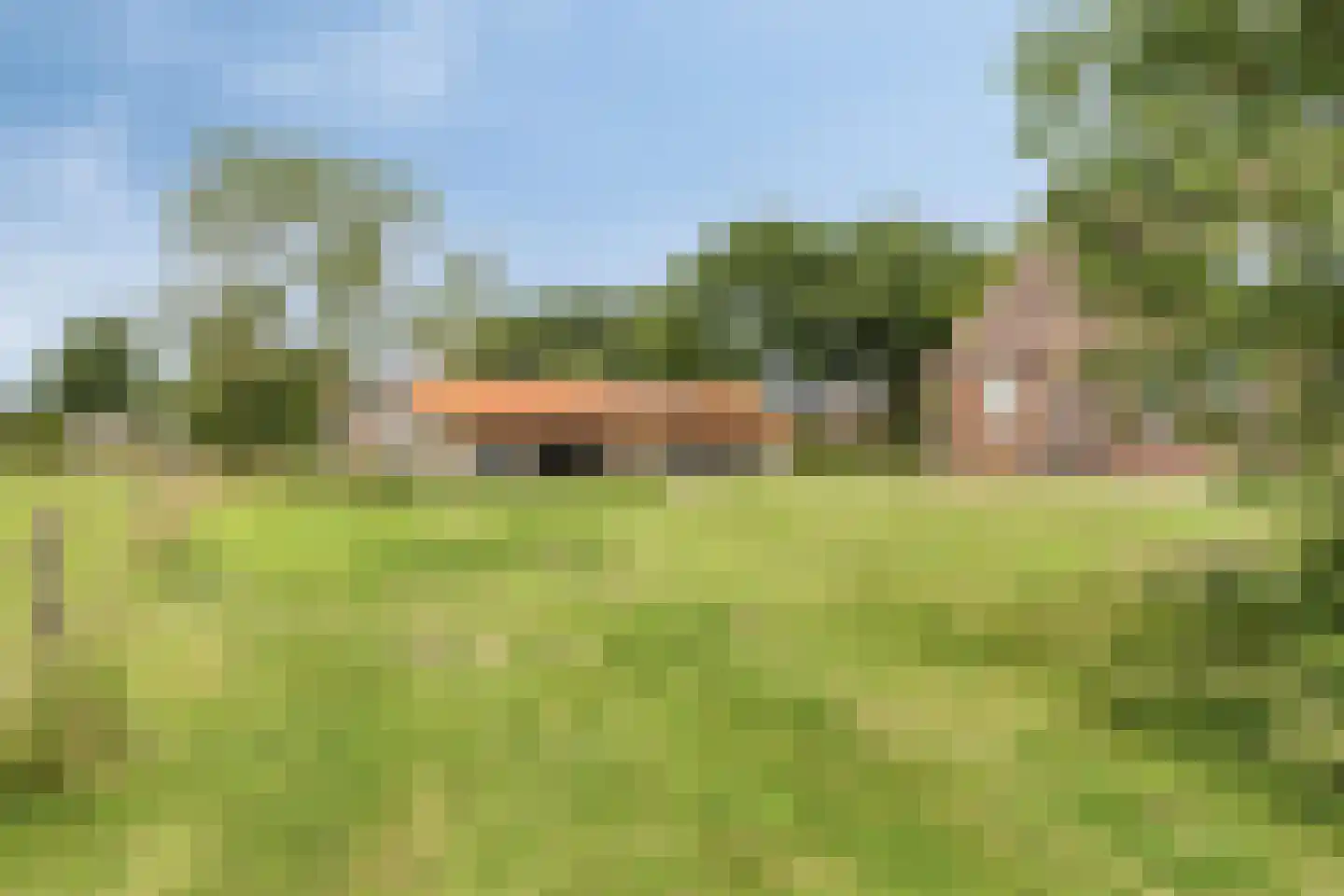 Loon 49 Liessel thumbnail 4