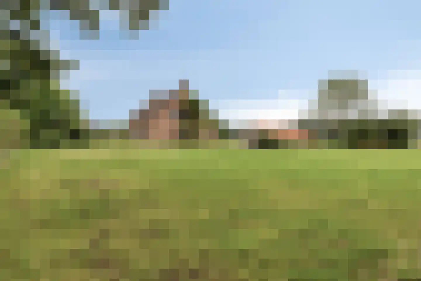 Loon 49 Liessel thumbnail 40