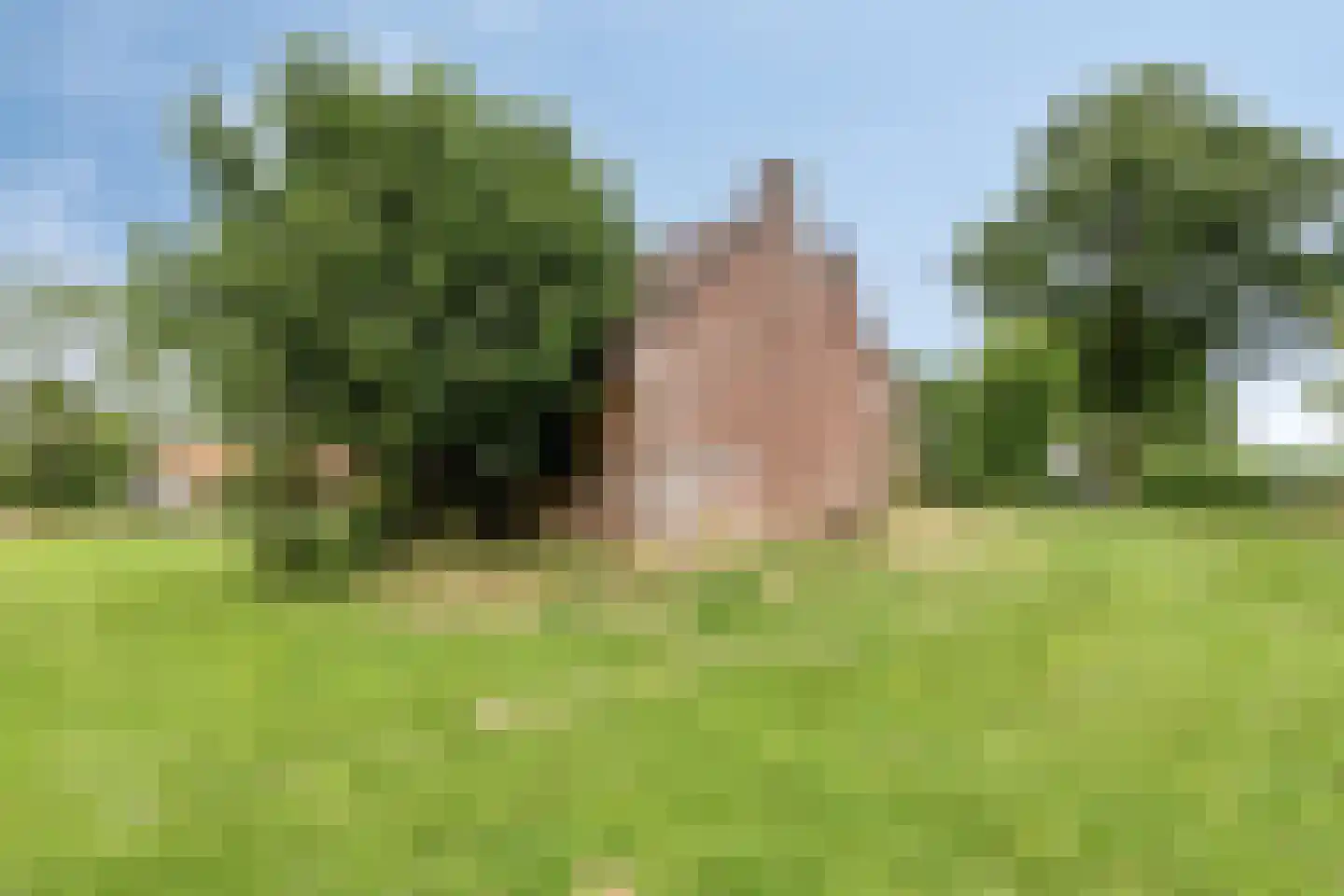 Loon 49 Liessel thumbnail 41