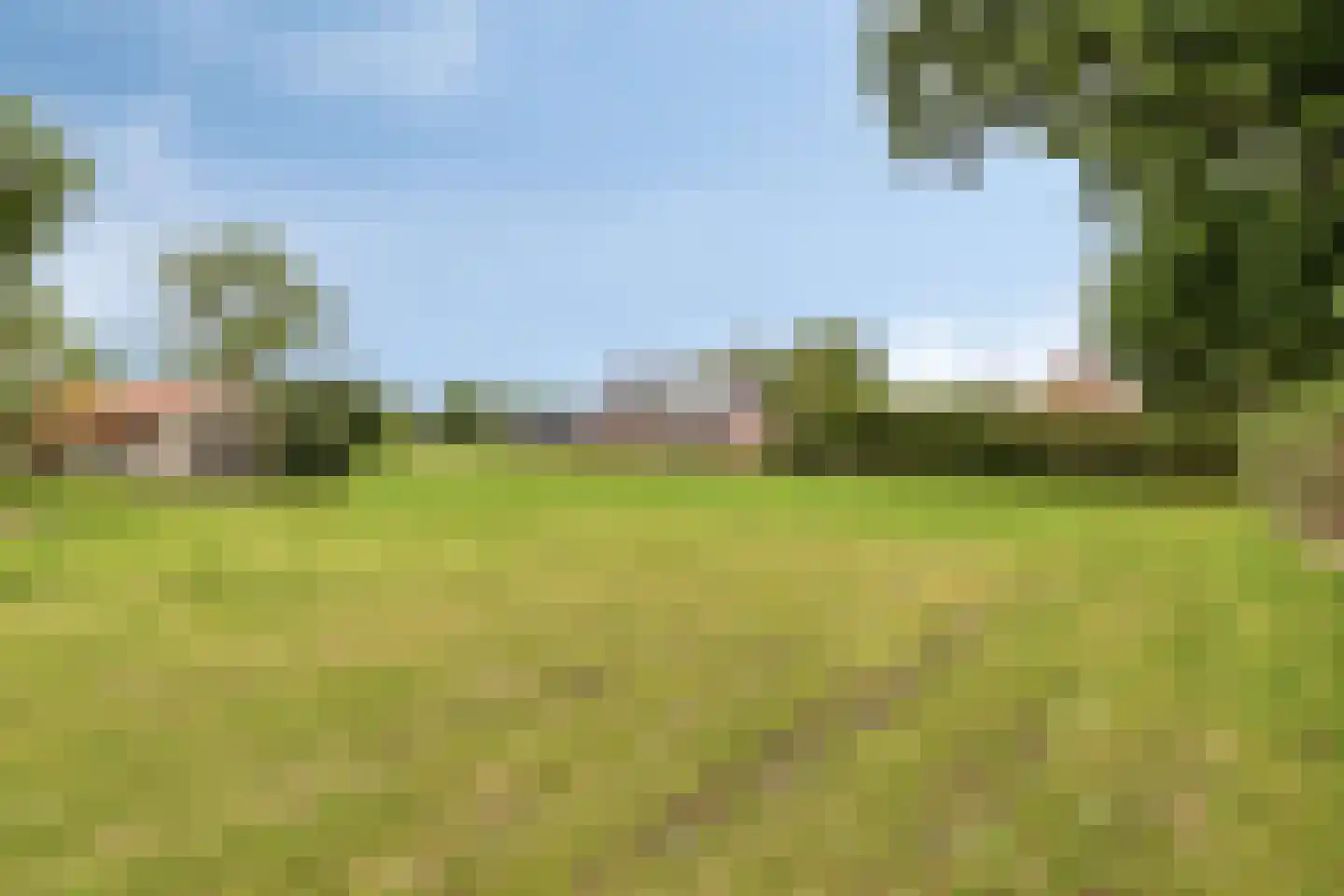 Loon 49 Liessel thumbnail 42
