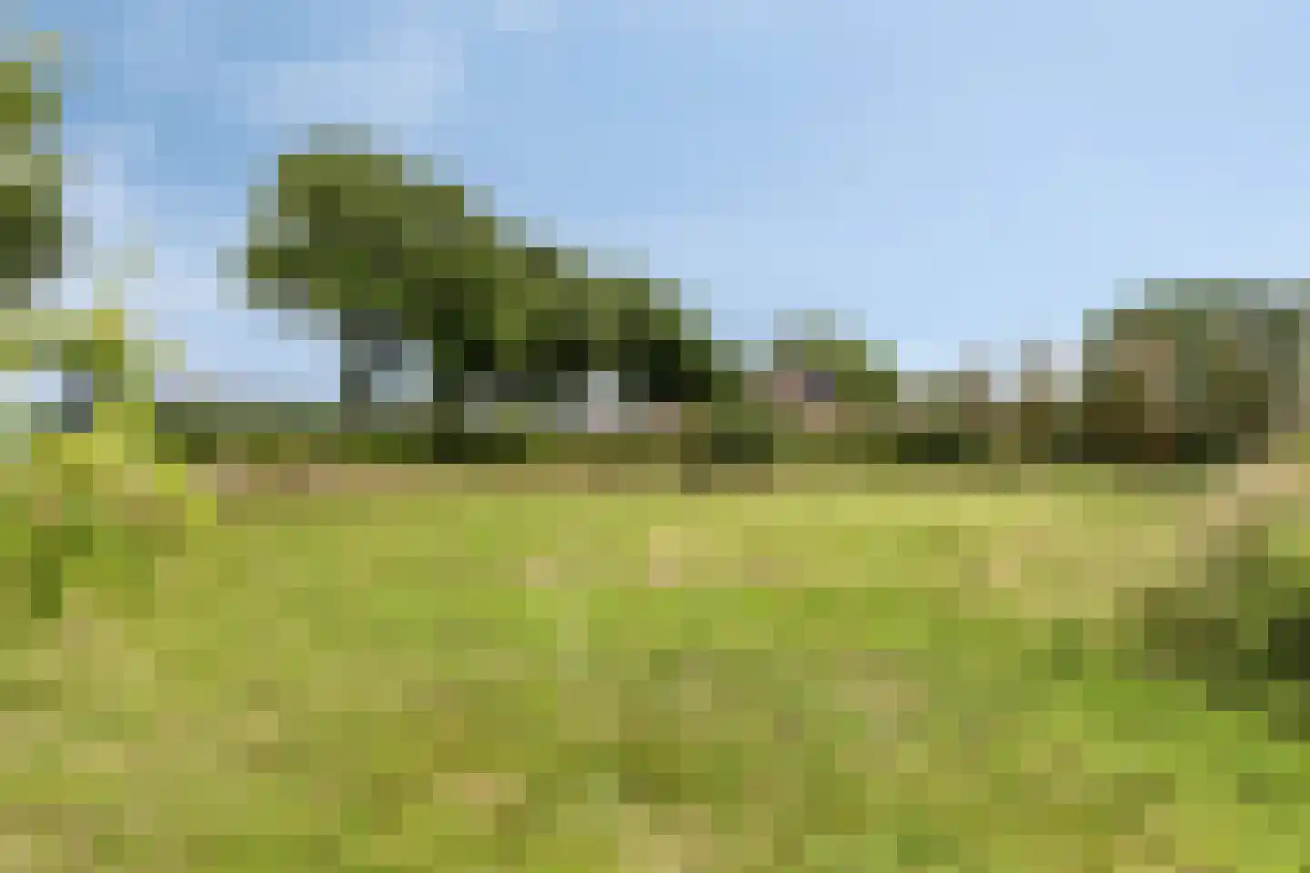 Loon 49 Liessel thumbnail 43