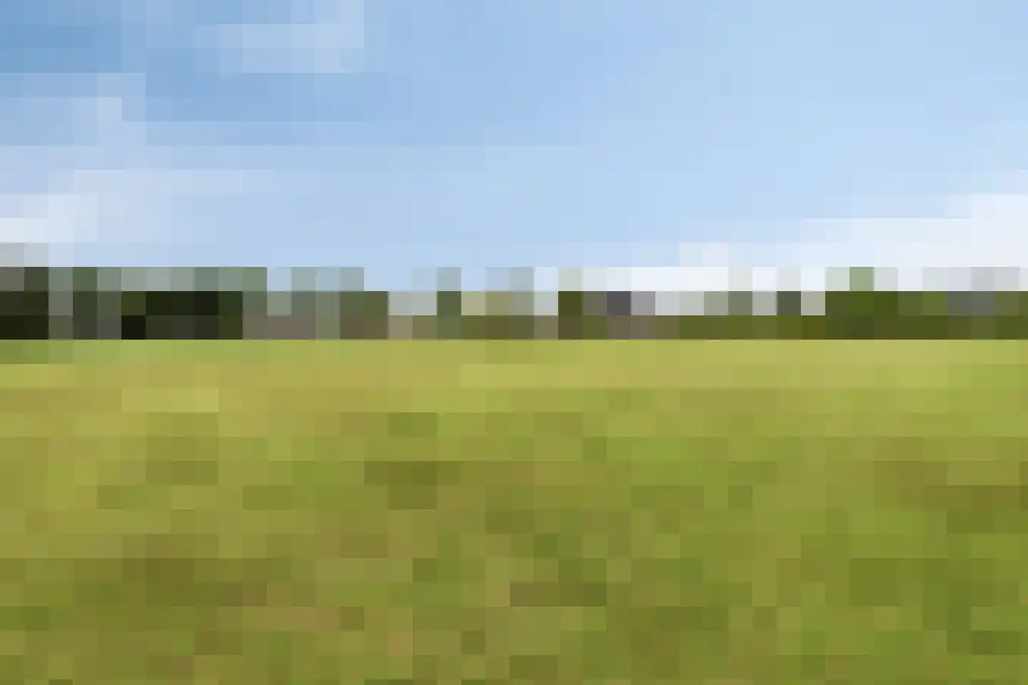 Loon 49 Liessel thumbnail 45