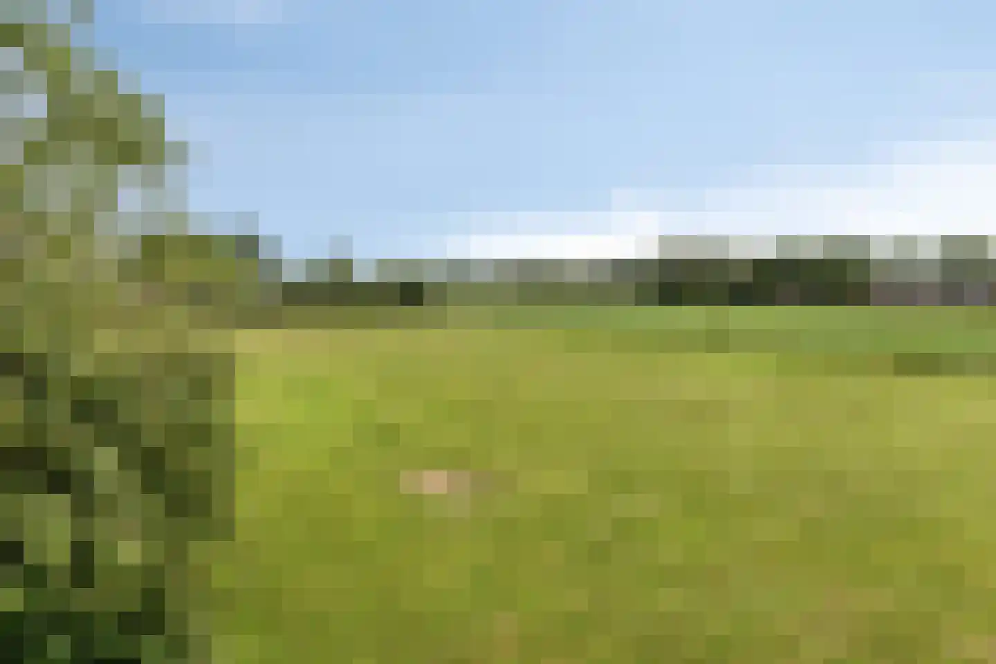 Loon 49 Liessel thumbnail 46