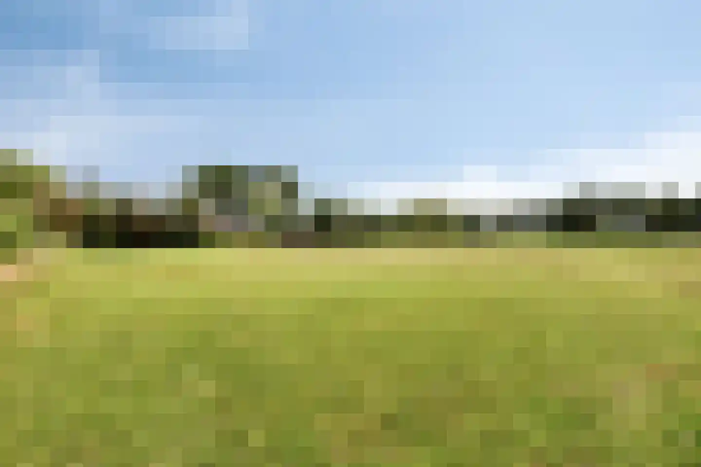 Loon 49 Liessel thumbnail 5
