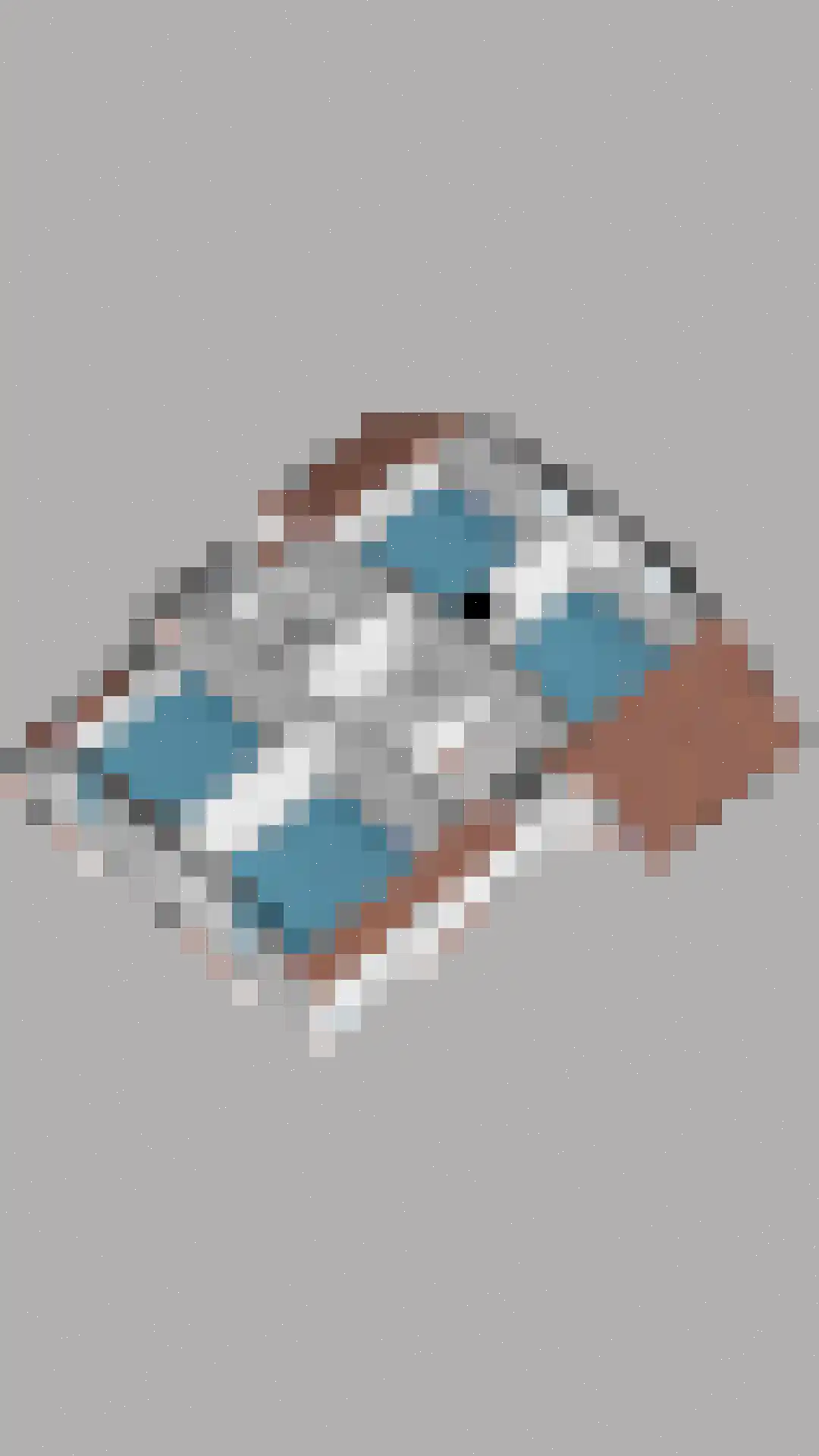 Loon 49 Liessel thumbnail 51