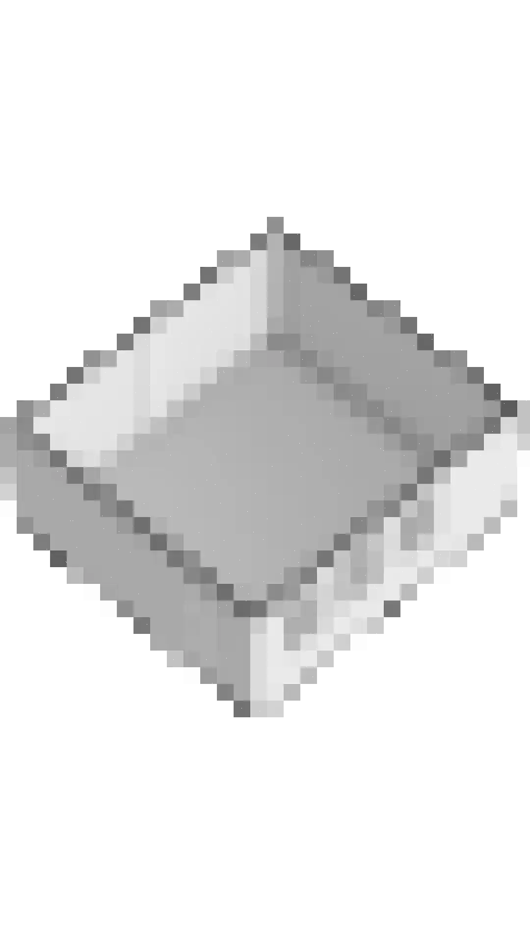 Loon 49 Liessel thumbnail 55