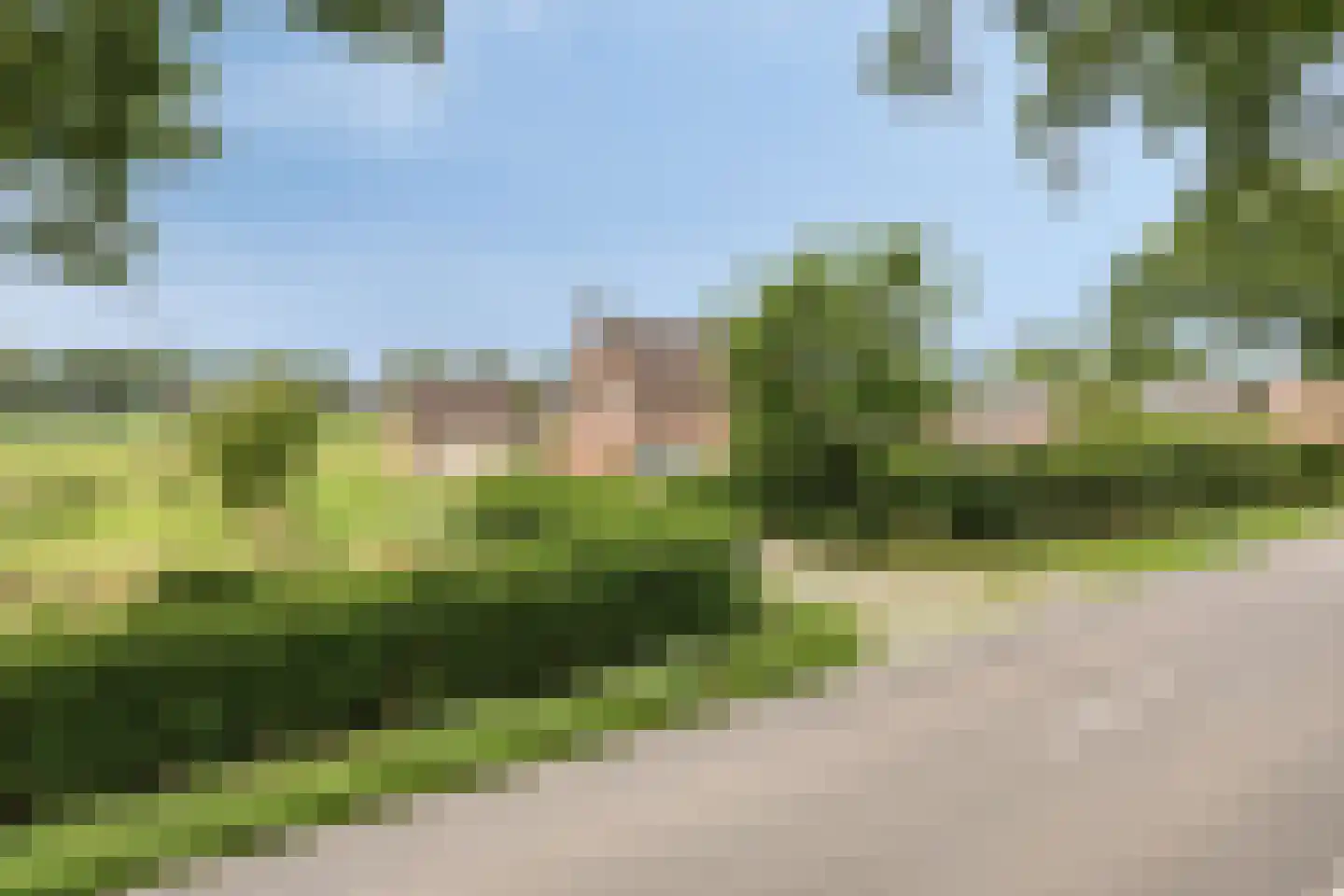 Loon 49 Liessel thumbnail 6