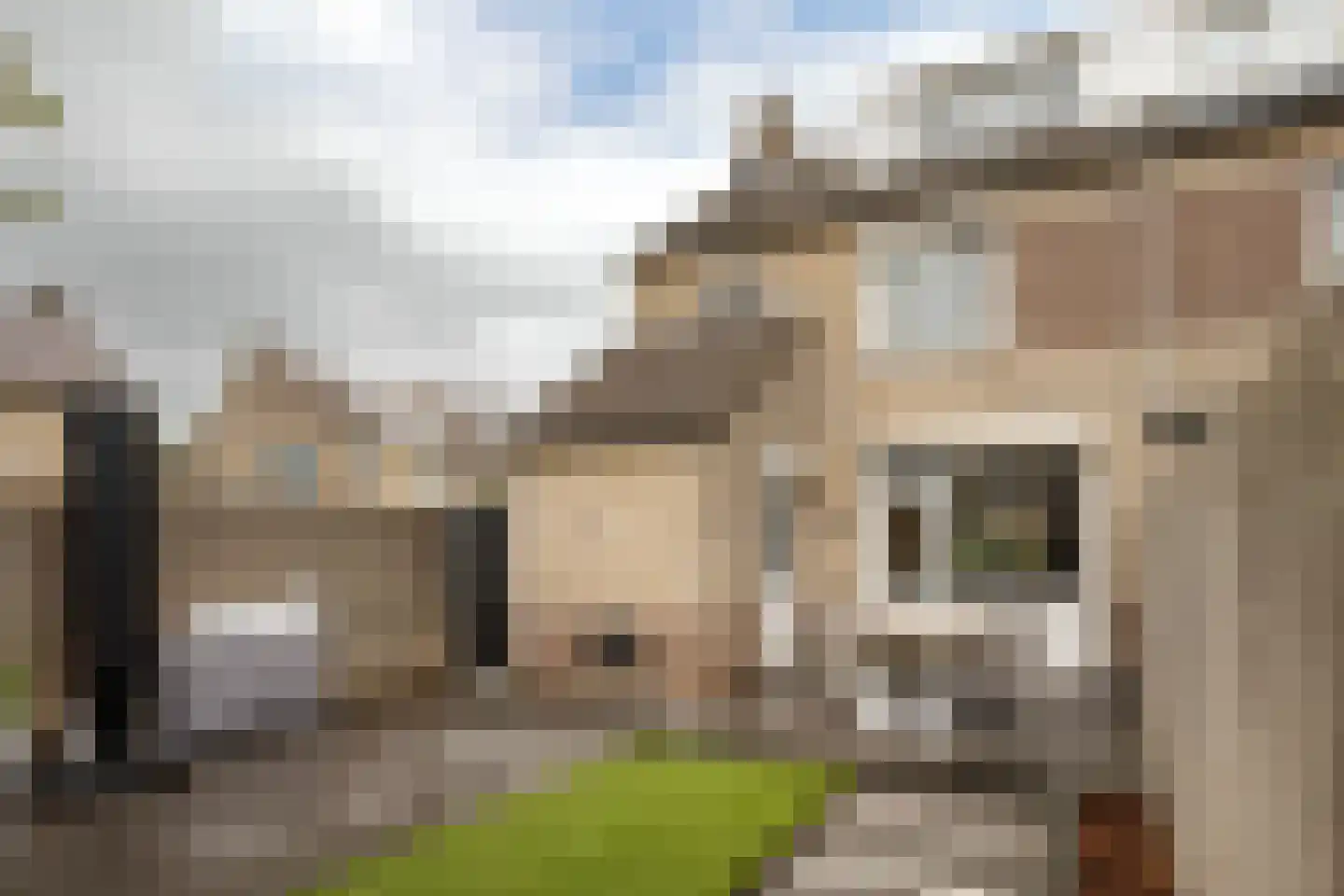 Loonberg 2 Bergen op Zoom thumbnail 33